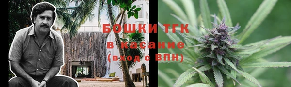 каннабис Аркадак