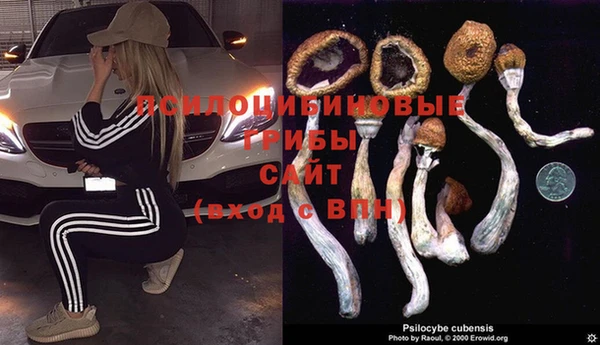каннабис Аркадак