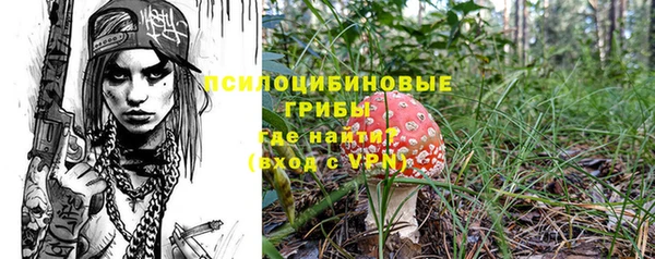 прущий лед Армянск