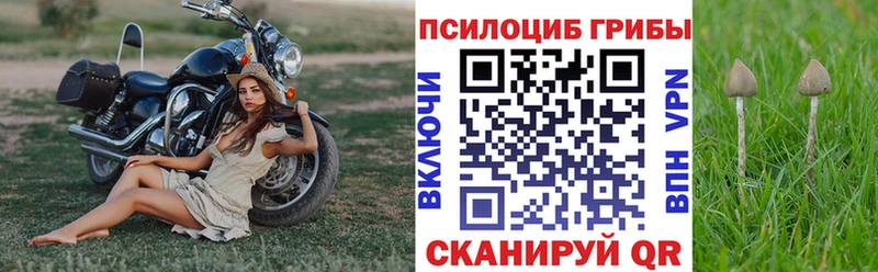 Псилоцибиновые грибы прущие грибы  OMG ССЫЛКА  Лесной 